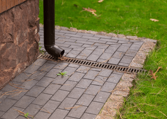 Downspout Drainage