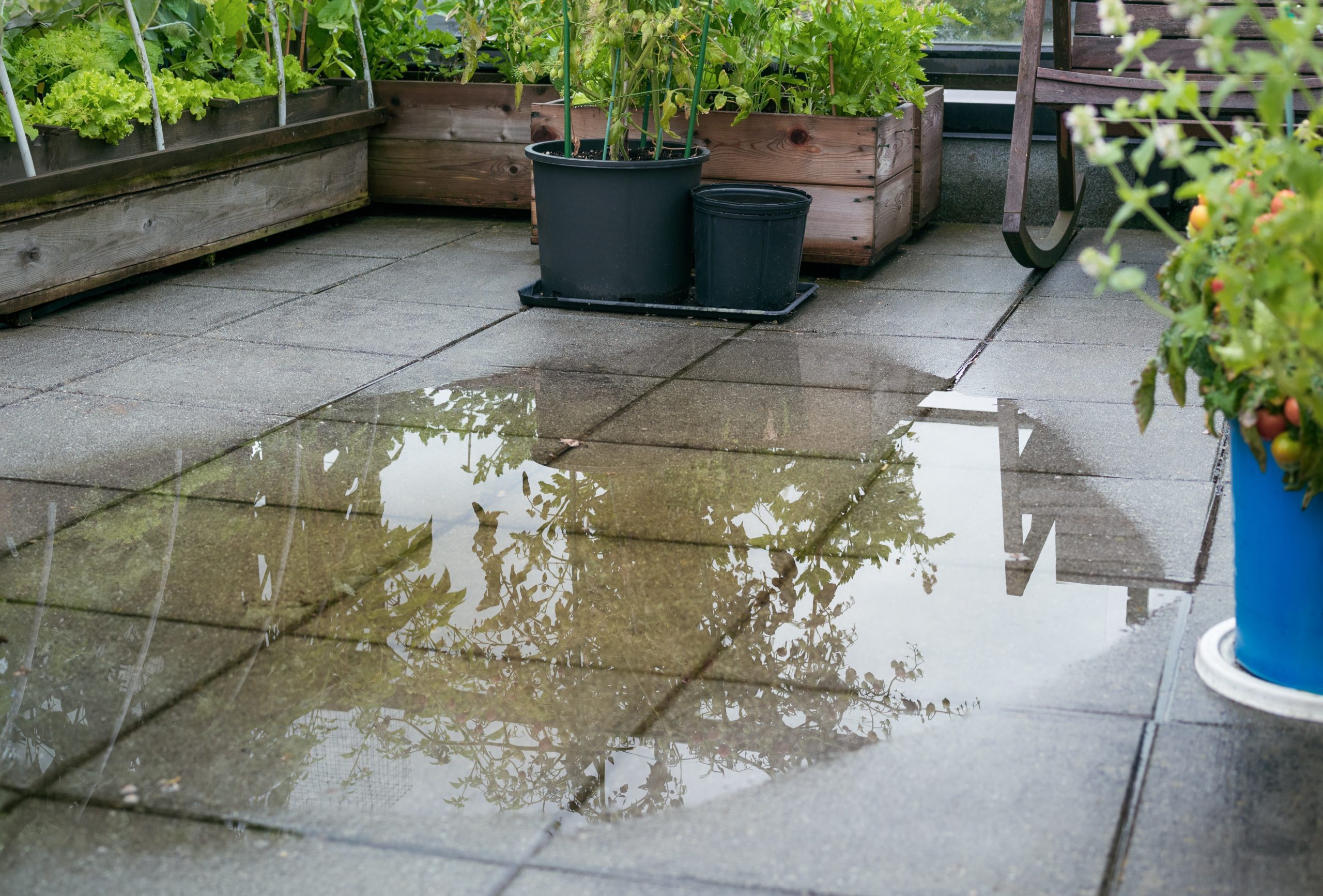 Patio,Drain,Clogged,And,Flooded,After,Heavy,Rain.,Overflown,Drainage